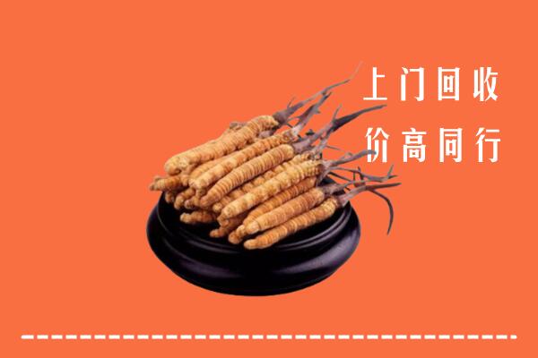 徐州沛县回收散虫草