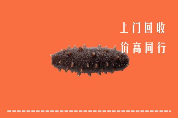 徐州沛县回收海参
