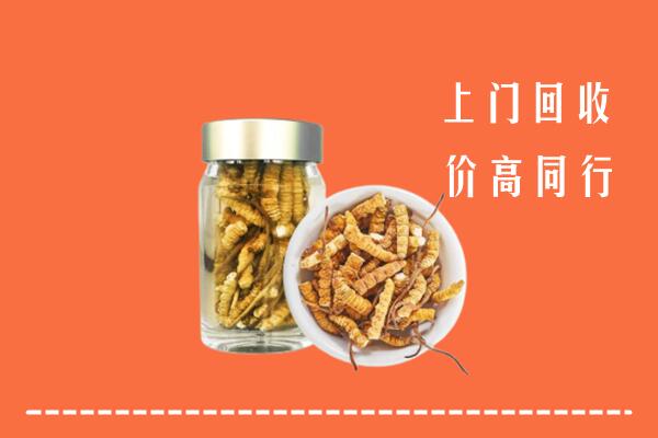 徐州沛县回收冬虫夏草