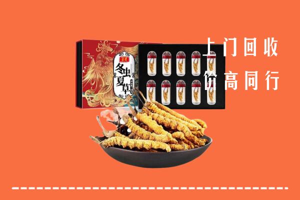 徐州沛县回收虫草